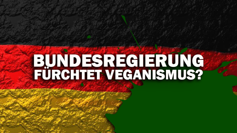 Blog_Bundesregierung-Veganismus_c-ANIMALS-UNITED